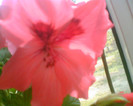 Picture 023
