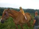 images (17)