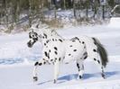 images (10)