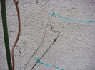 DSC03727
