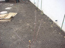 DSC03744