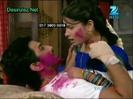 Holi in Love [49]