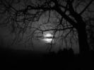 images (29)