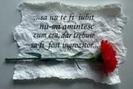 images (46)