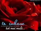 images (49)