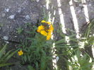 P01-05-12_14.15[2]