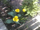 P01-05-12_14.15[5]