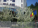 In sfarsit primavara si la Brasov ...