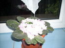 DSCN1381