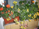 DSCN1358