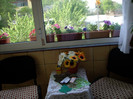DSCN1404