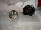 DSCN0560