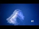 Demi Lovato - Stay Strong Premiere Documentary Full 12562
