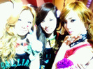 taetiseo photo