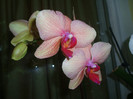 P5054758