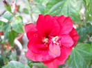 DSCN2488