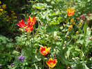 DSCN2489