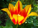 DSCN2490