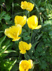 DSCN2493