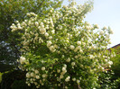 DSCN2494
