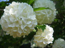 DSCN2495