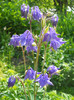 DSCN2496