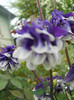 DSCN2499