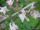 DSCN2502