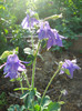 DSCN2505