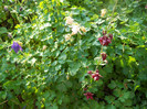 DSCN2507