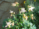 DSCN2508