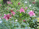 DSCN2510