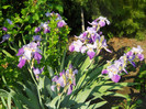 DSCN2514