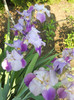 DSCN2515