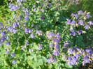 DSCN2518