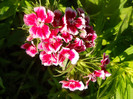 DSCN2519
