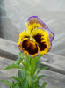 DSCN2521