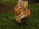 Bild034