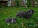 Mai 2012 023