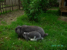 Mai 2012 024