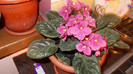 DSCN0032
