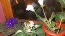DSCN0035