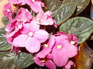 DSCN0075