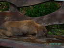 Mai 2012 055