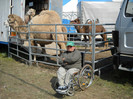 DSCN0969