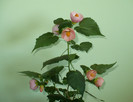 P1380939