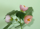 P1380941