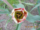 DSCN0797