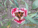 DSCN0799
