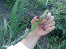 05052012 se anunta ceva superb